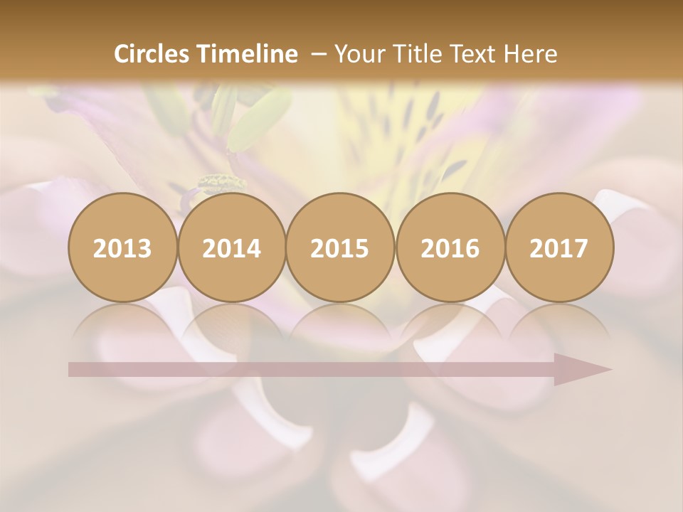 Elegance Macro Color PowerPoint Template
