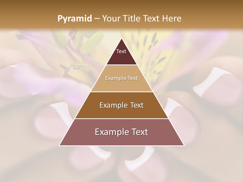 Elegance Macro Color PowerPoint Template