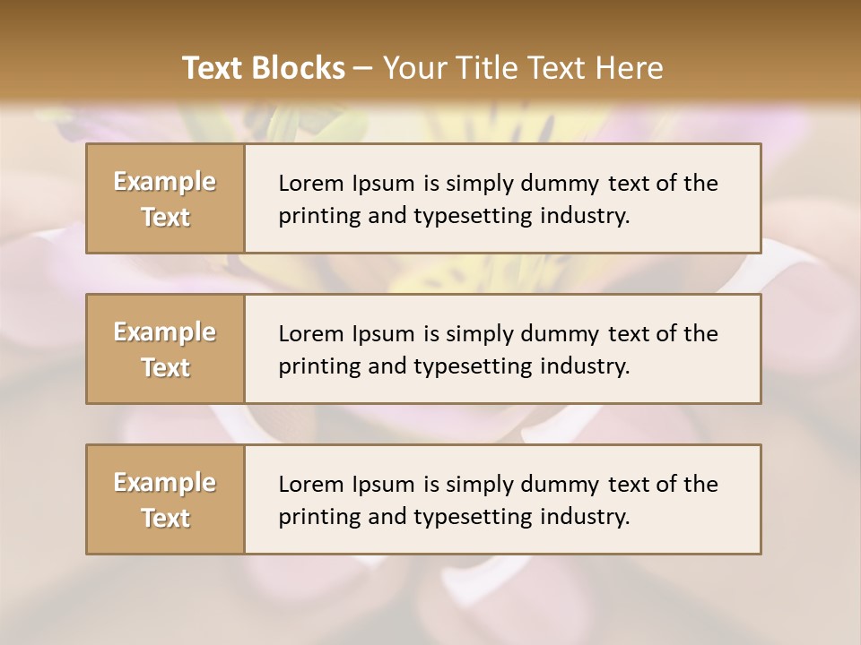 Elegance Macro Color PowerPoint Template