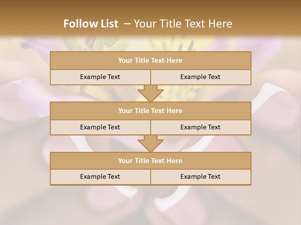 Elegance Macro Color PowerPoint Template
