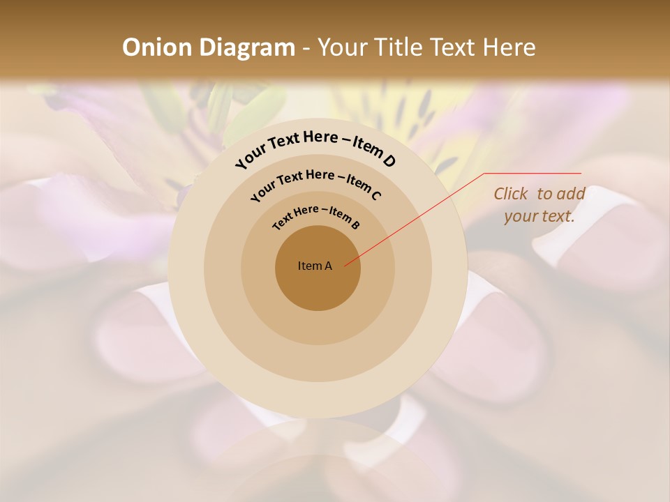 Elegance Macro Color PowerPoint Template