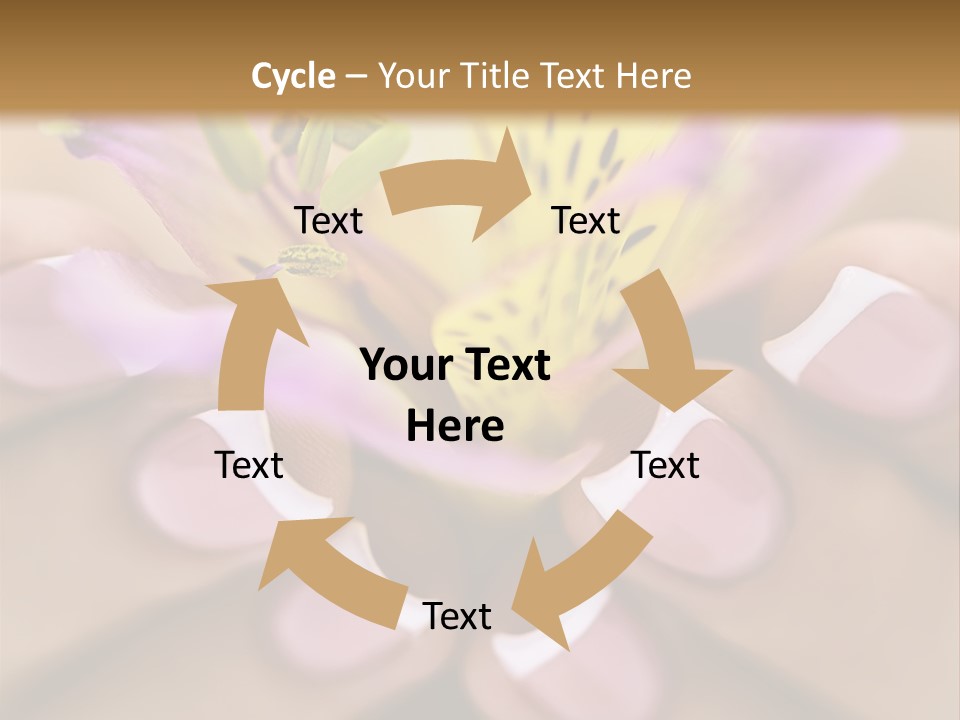 Elegance Macro Color PowerPoint Template
