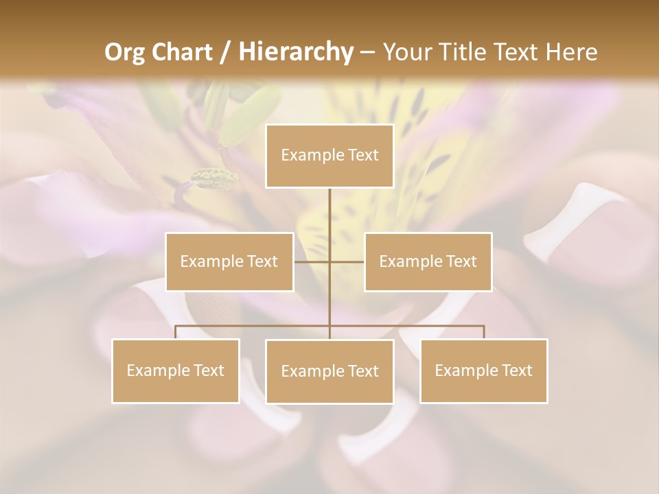 Elegance Macro Color PowerPoint Template