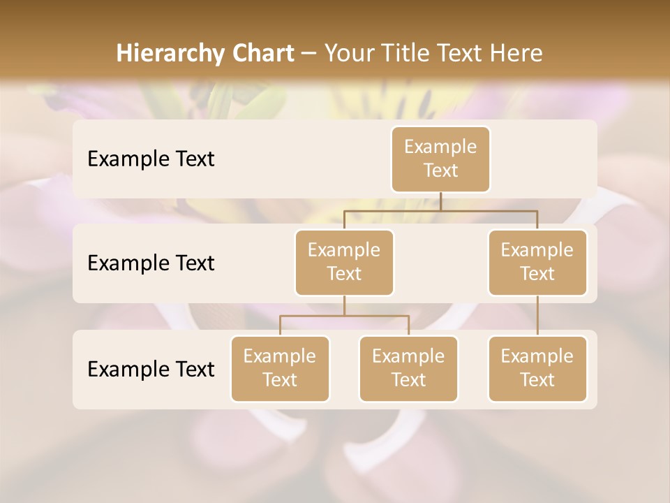Elegance Macro Color PowerPoint Template