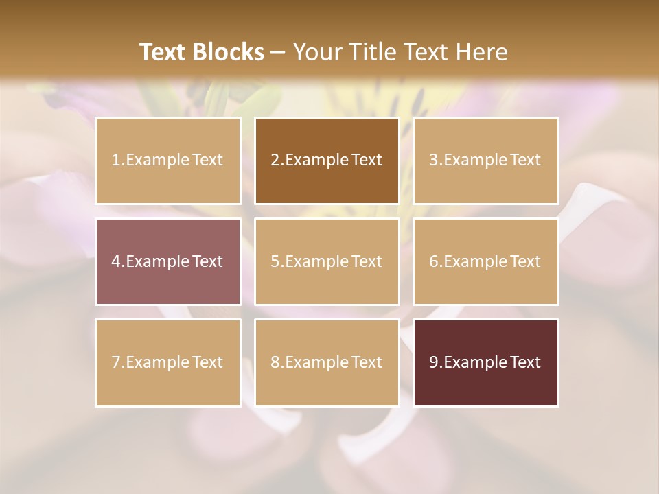 Elegance Macro Color PowerPoint Template