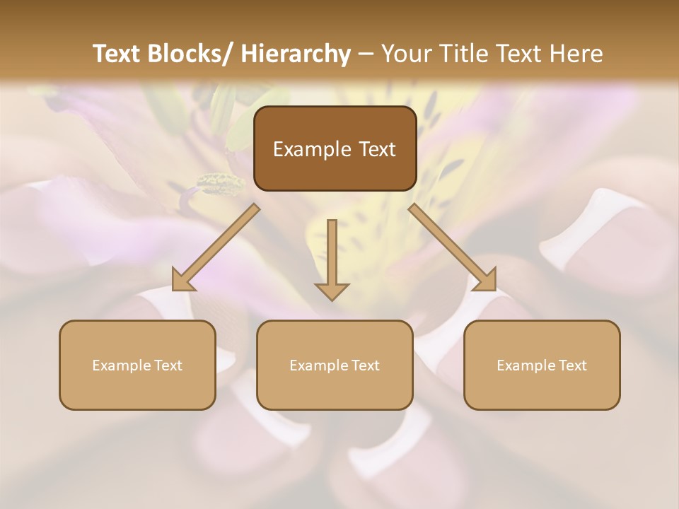 Elegance Macro Color PowerPoint Template