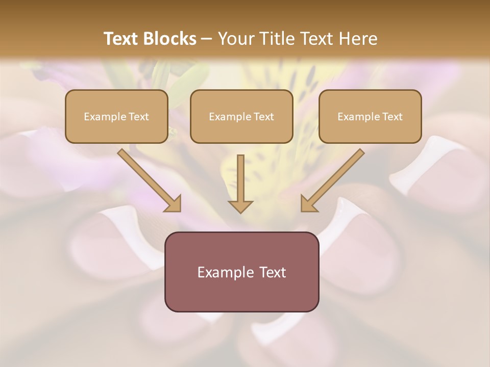 Elegance Macro Color PowerPoint Template