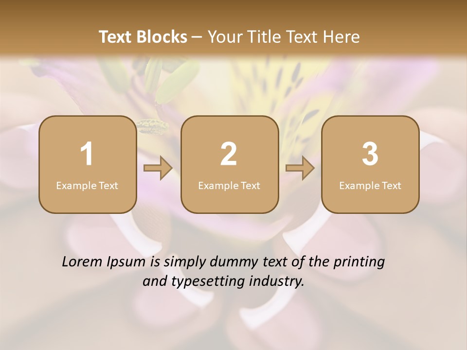 Elegance Macro Color PowerPoint Template