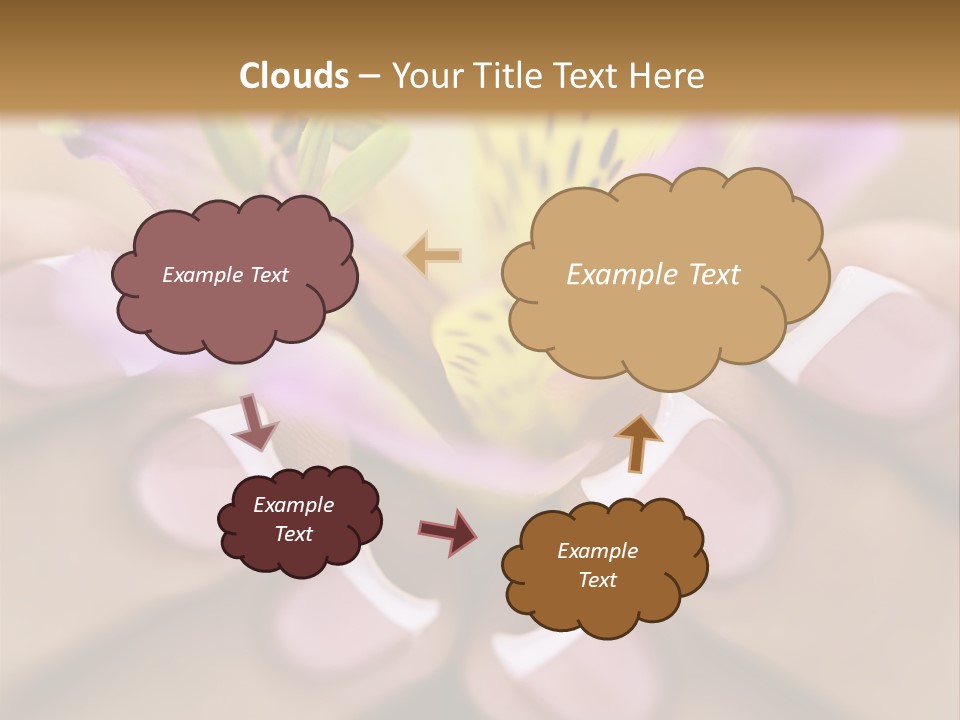 Elegance Macro Color PowerPoint Template