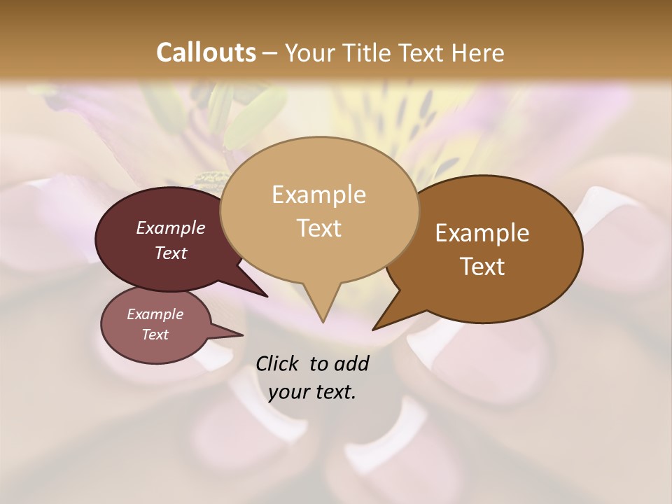 Elegance Macro Color PowerPoint Template