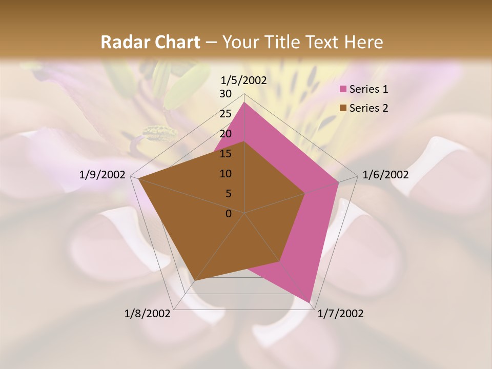 Elegance Macro Color PowerPoint Template