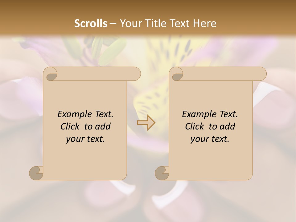 Elegance Macro Color PowerPoint Template