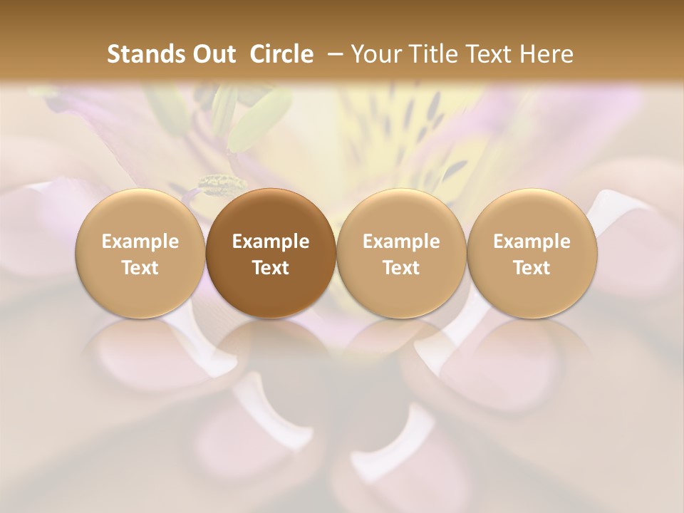Elegance Macro Color PowerPoint Template