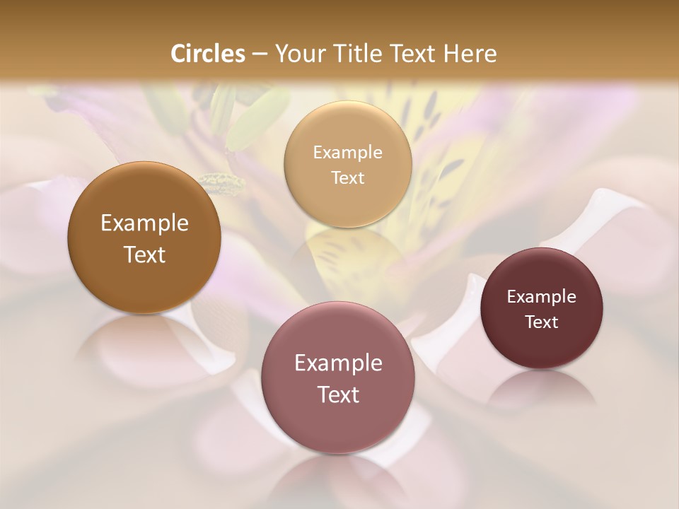 Elegance Macro Color PowerPoint Template