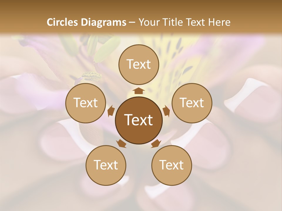 Elegance Macro Color PowerPoint Template