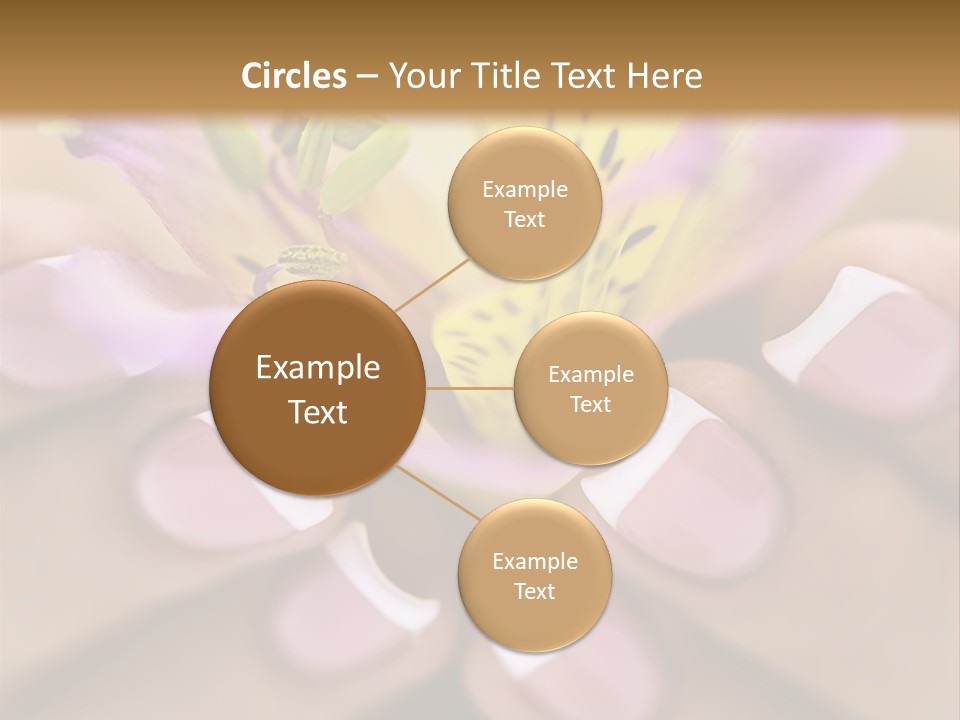 Elegance Macro Color PowerPoint Template