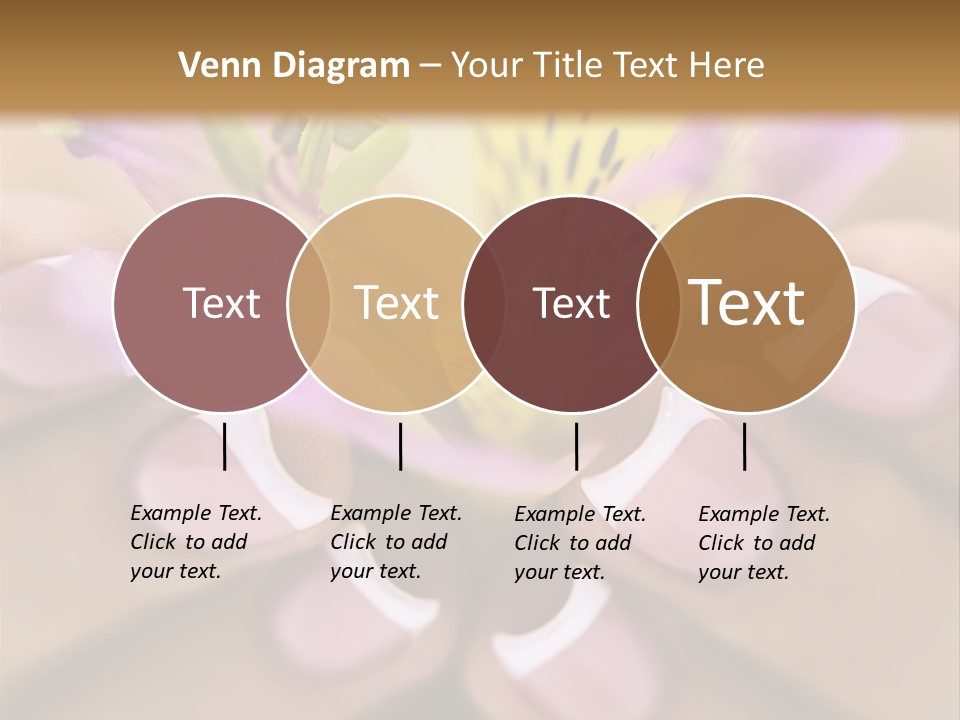 Elegance Macro Color PowerPoint Template