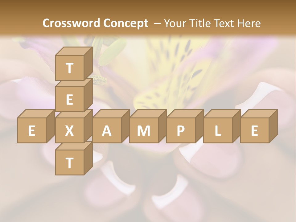 Elegance Macro Color PowerPoint Template