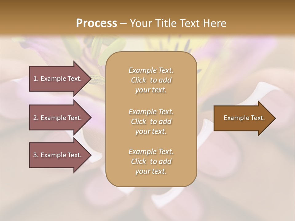Elegance Macro Color PowerPoint Template