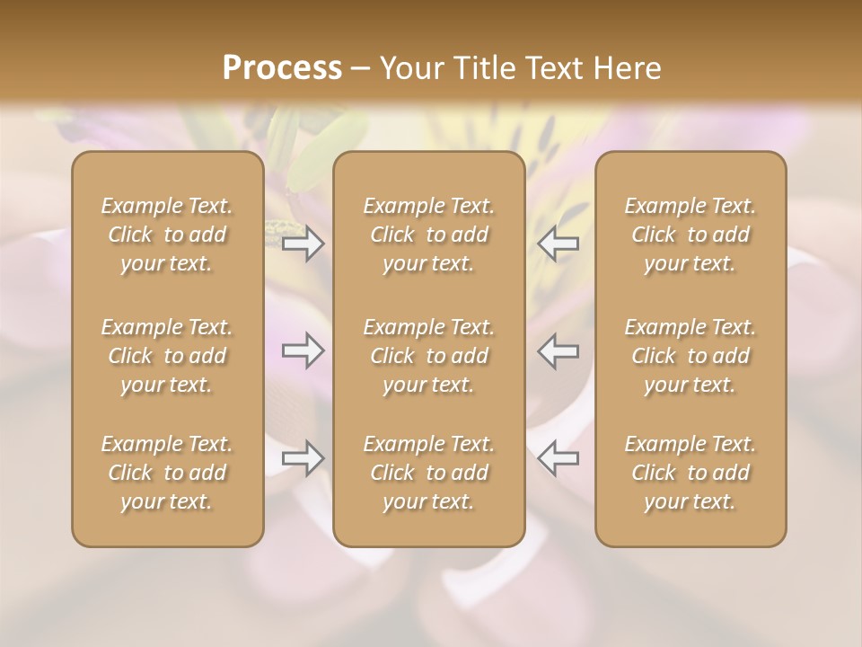 Elegance Macro Color PowerPoint Template