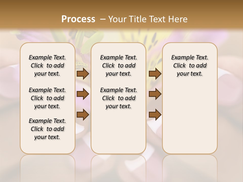 Elegance Macro Color PowerPoint Template