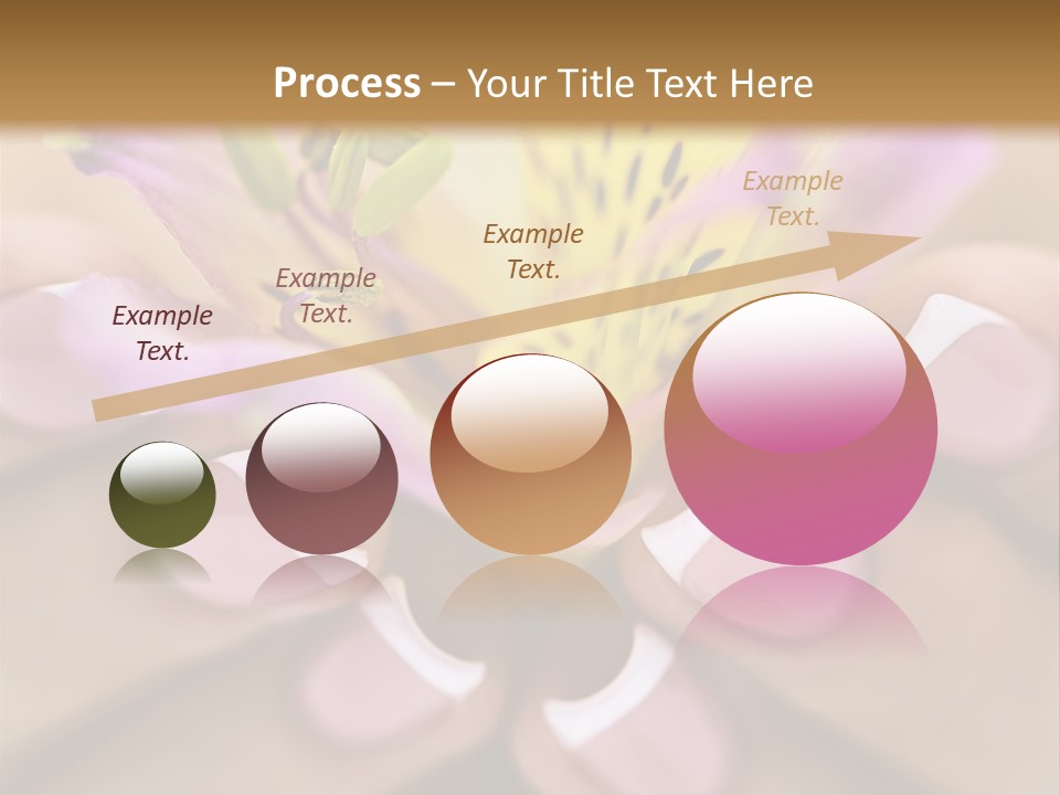 Elegance Macro Color PowerPoint Template