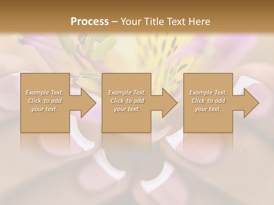 Elegance Macro Color PowerPoint Template