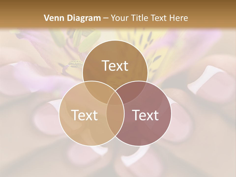 Elegance Macro Color PowerPoint Template