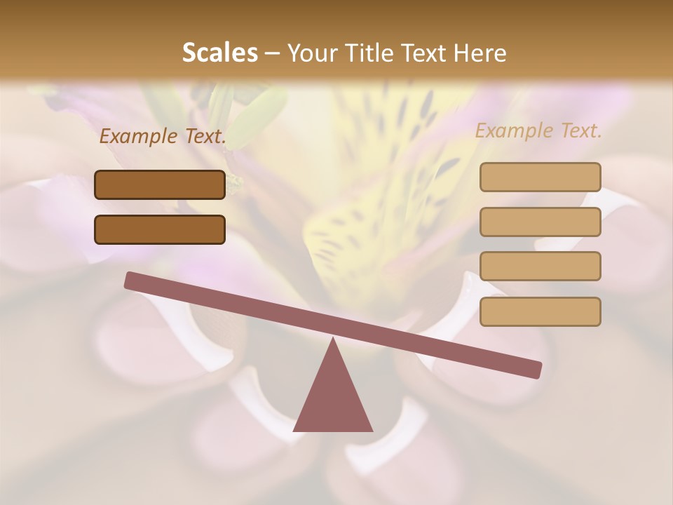 Elegance Macro Color PowerPoint Template