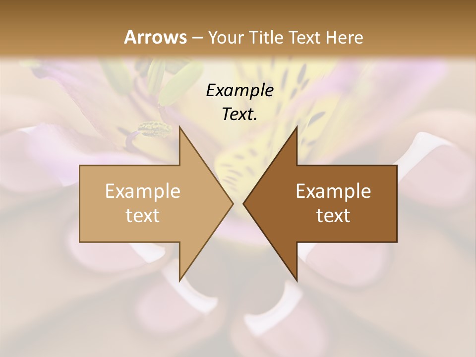 Elegance Macro Color PowerPoint Template