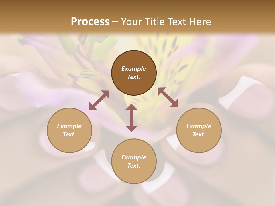 Elegance Macro Color PowerPoint Template