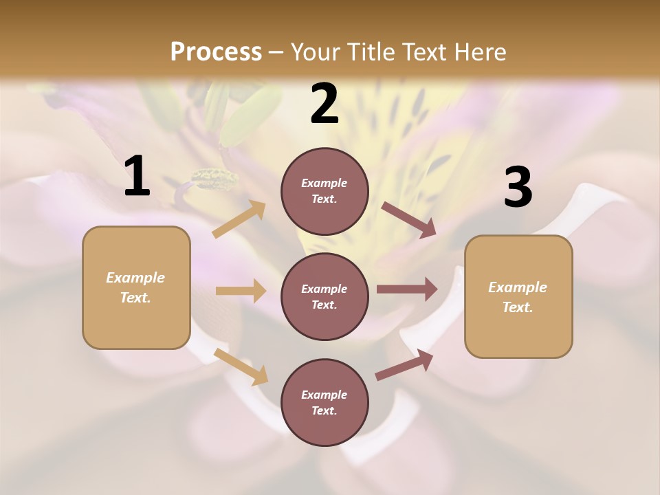 Elegance Macro Color PowerPoint Template