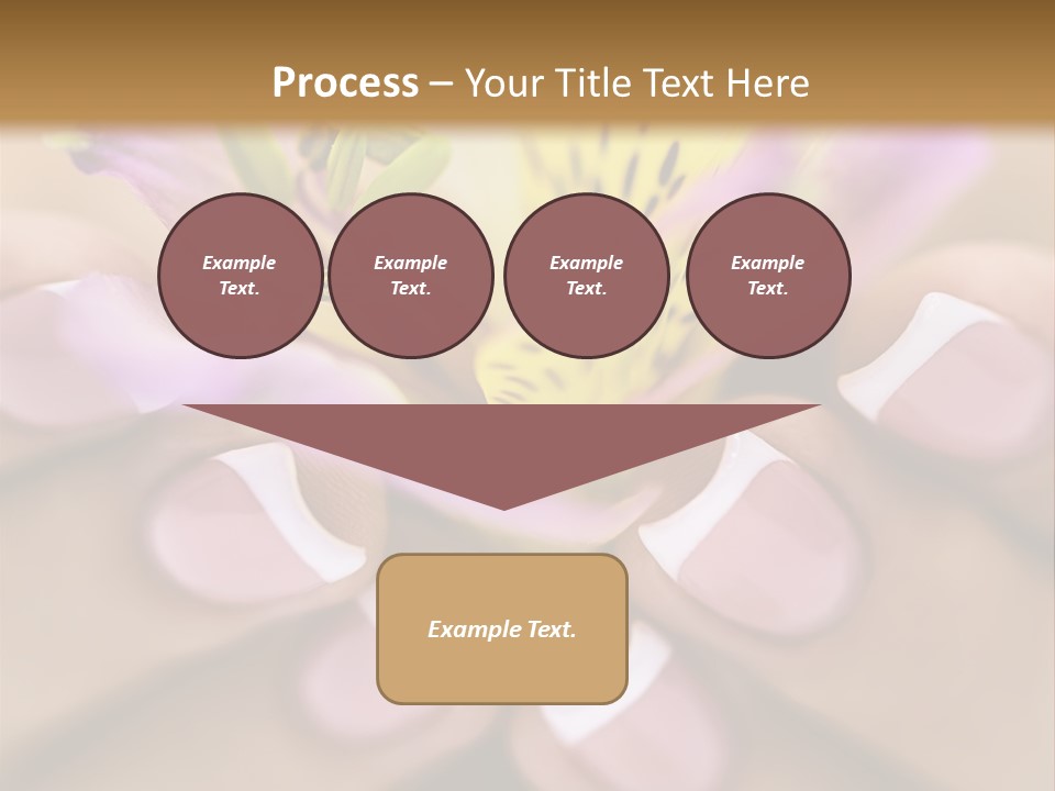 Elegance Macro Color PowerPoint Template