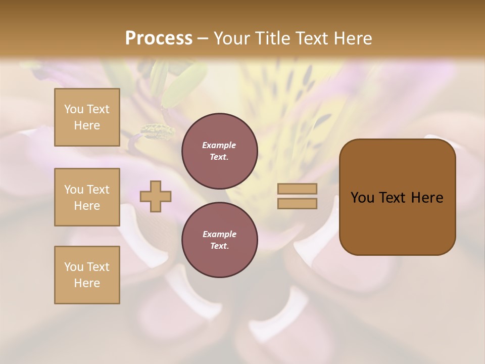 Elegance Macro Color PowerPoint Template