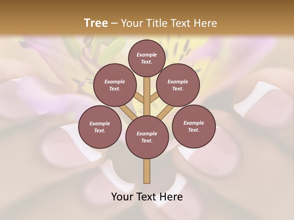 Elegance Macro Color PowerPoint Template