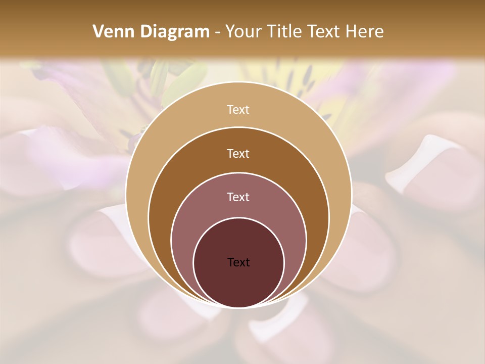 Elegance Macro Color PowerPoint Template