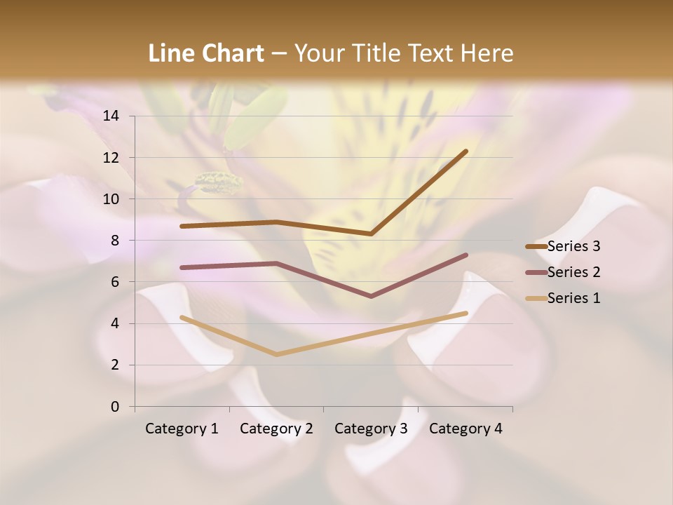 Elegance Macro Color PowerPoint Template