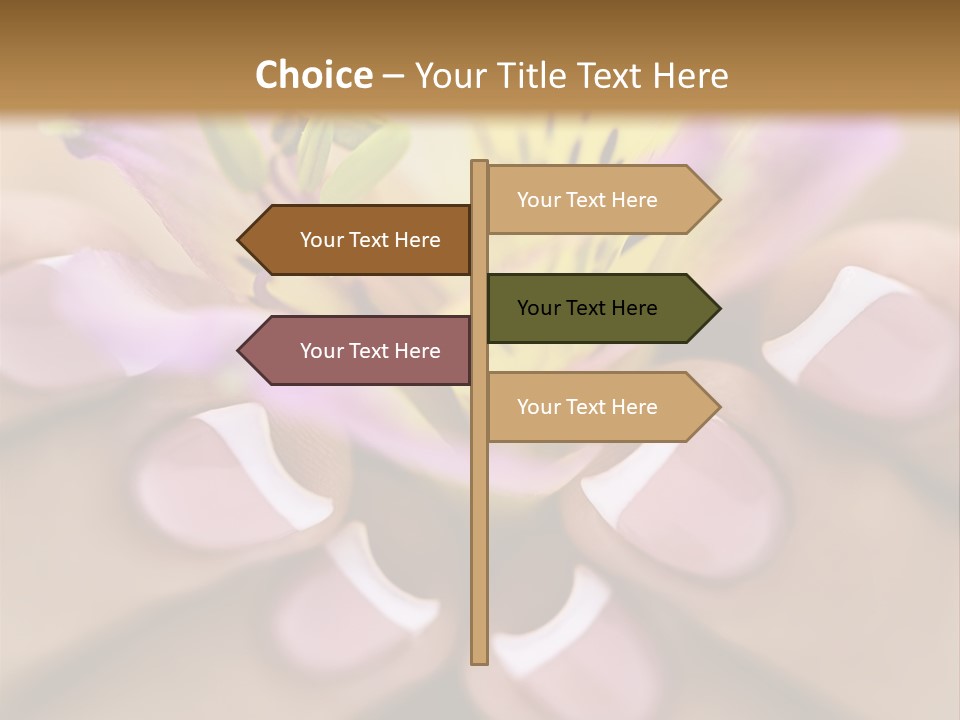 Elegance Macro Color PowerPoint Template