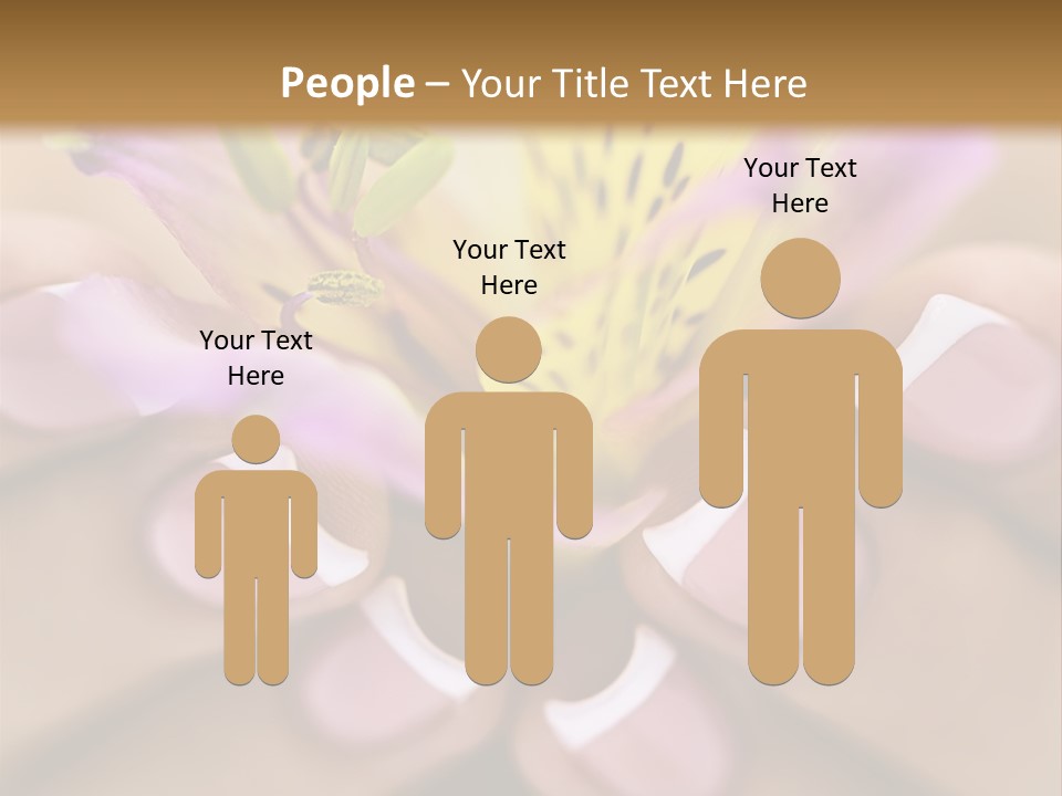 Elegance Macro Color PowerPoint Template