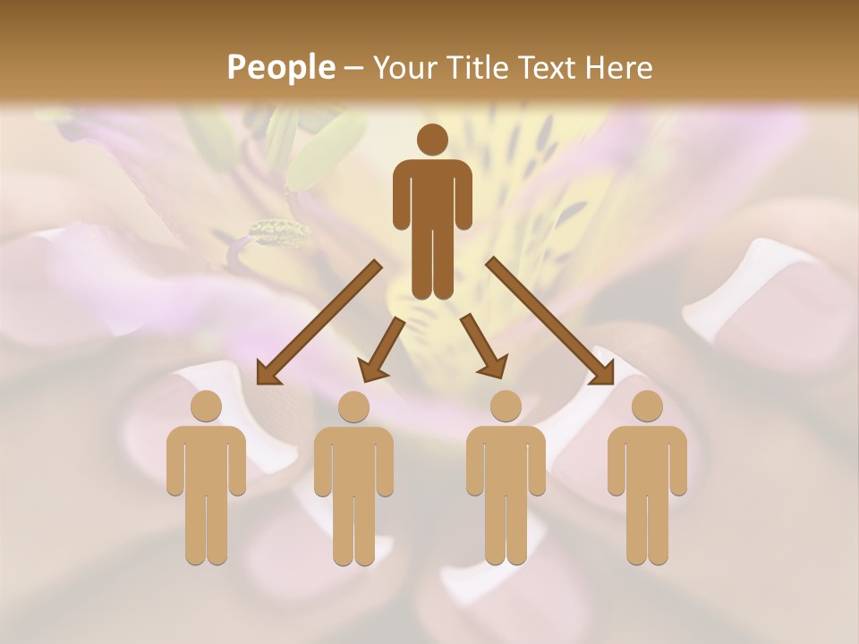 Elegance Macro Color PowerPoint Template