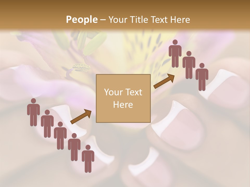 Elegance Macro Color PowerPoint Template