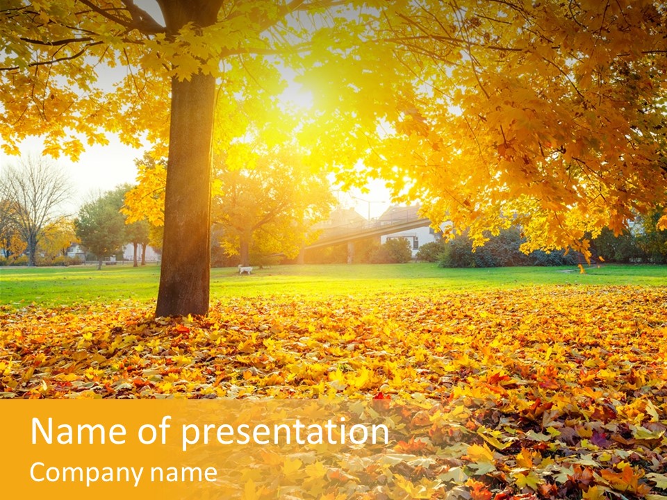 Sun Golden Green PowerPoint Template