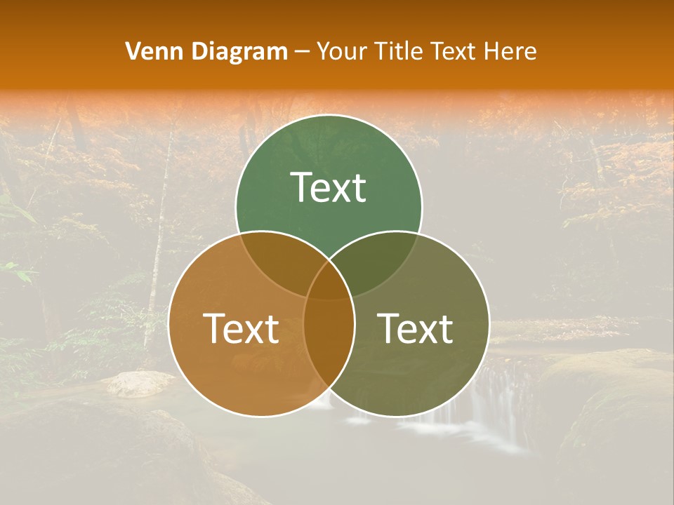 Orange Plant Yellow PowerPoint Template