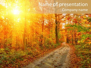 Color Fall Path PowerPoint Template