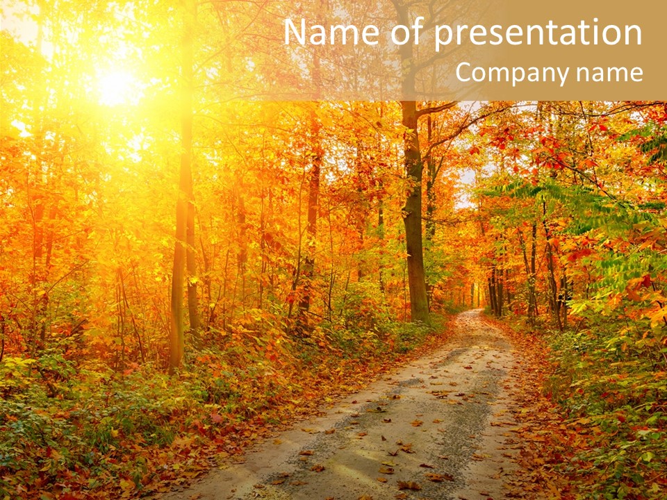 Color Fall Path PowerPoint Template