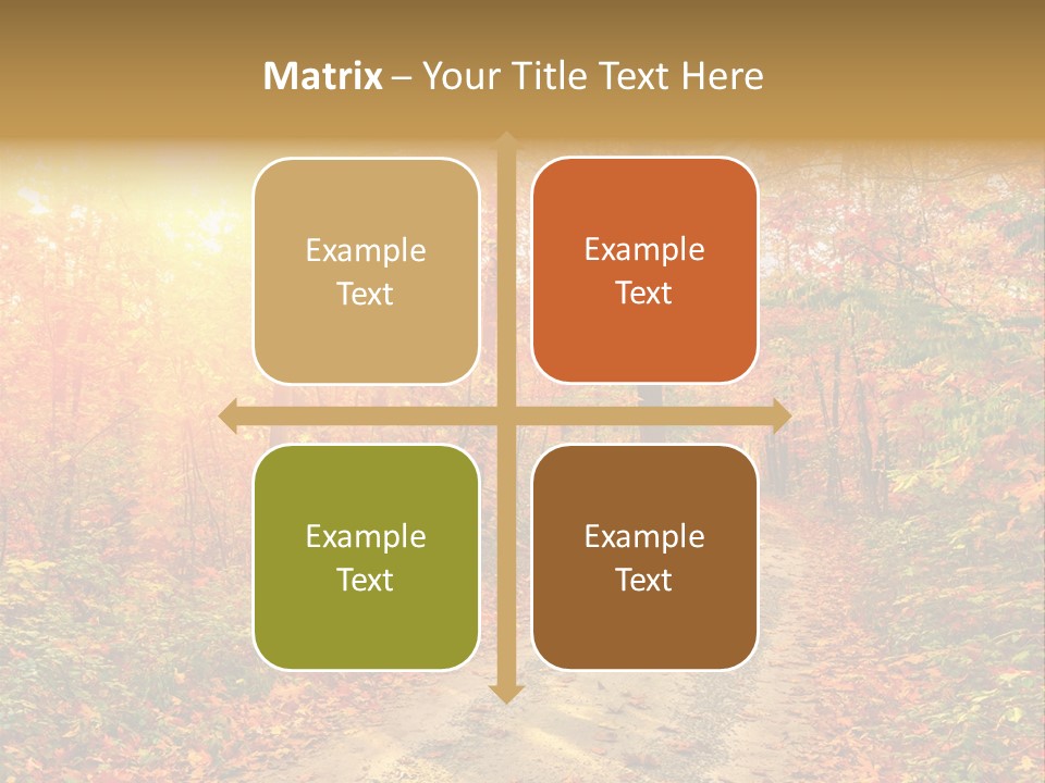Color Fall Path PowerPoint Template