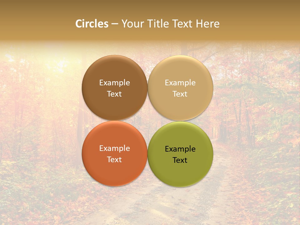 Color Fall Path PowerPoint Template