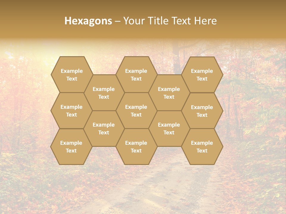 Color Fall Path PowerPoint Template