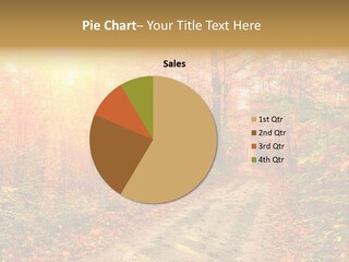 Color Fall Path PowerPoint Template