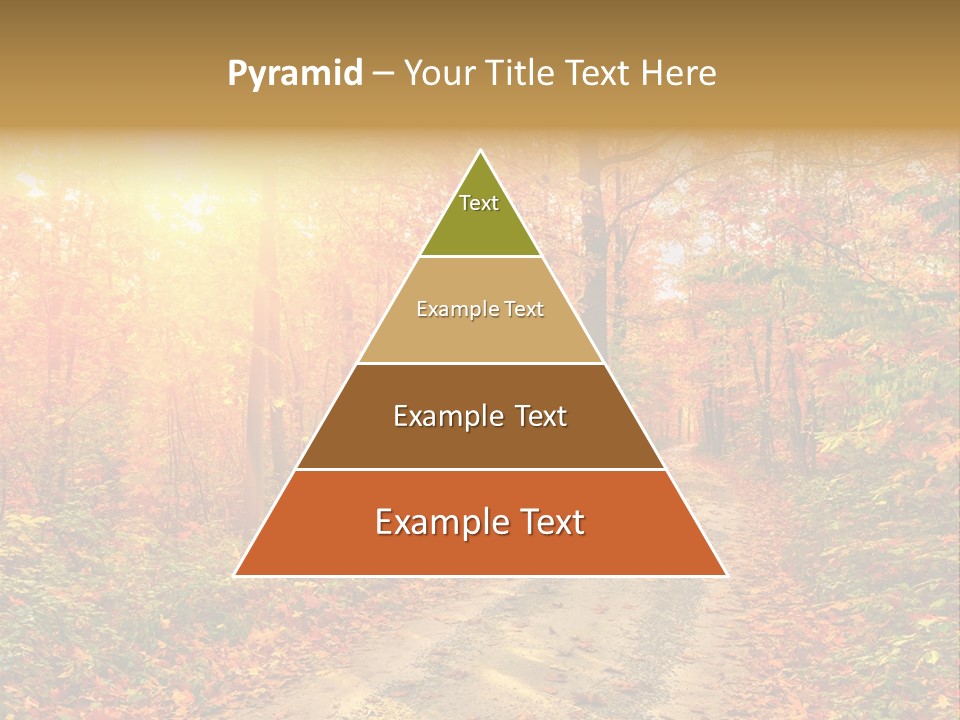 Color Fall Path PowerPoint Template